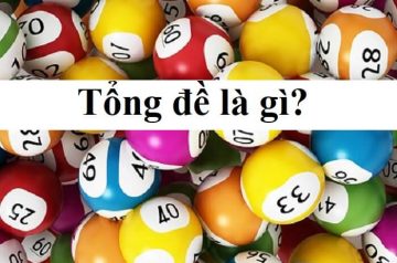Tổng đề là gì?